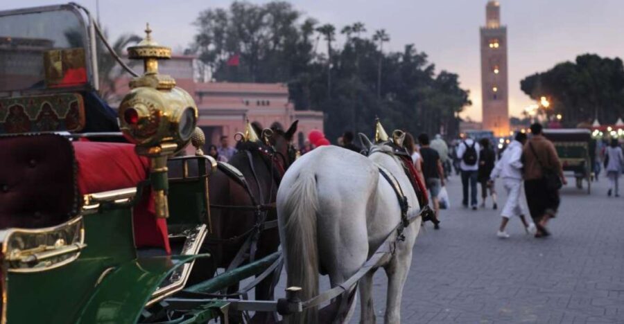 Marrakech Full-Day Guided Tour with Lunch - Authenticity and Practical Considerations