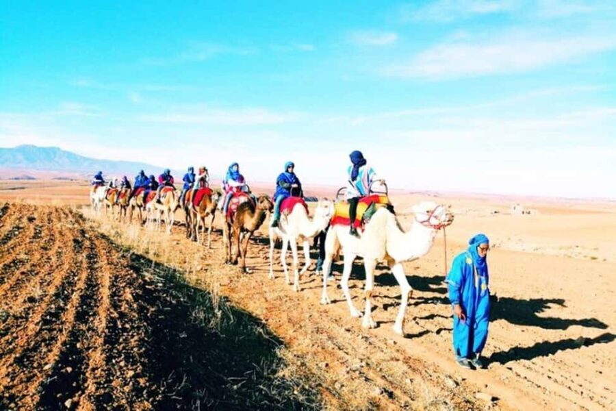 Marrakech : Full Lunch package in Agafay desert - What Makes This Tour a Good Value