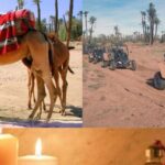 Marrakech: Half-Day Tour with Buggy Ride, Camel Ride and Spa - Camel Ride: Classic, but with Some Caveats