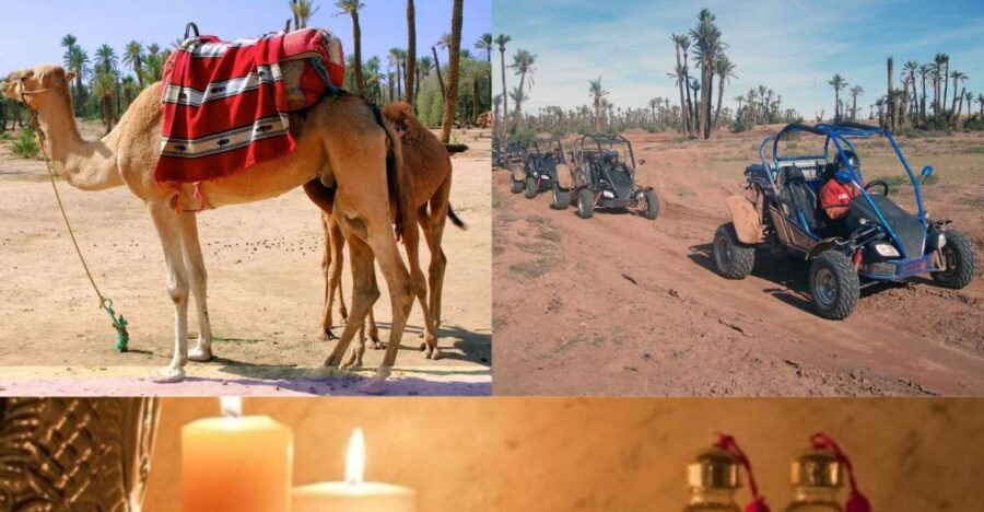 Marrakech: Half-Day Tour with Buggy Ride, Camel Ride and Spa - Camel Ride: Classic, but with Some Caveats