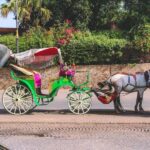 Marrakech: Hidden Souks Shopping Tour with Private Guide - Who Will Love This Tour?