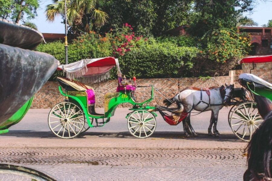 Marrakech: Hidden Souks Shopping Tour with Private Guide - Who Will Love This Tour?