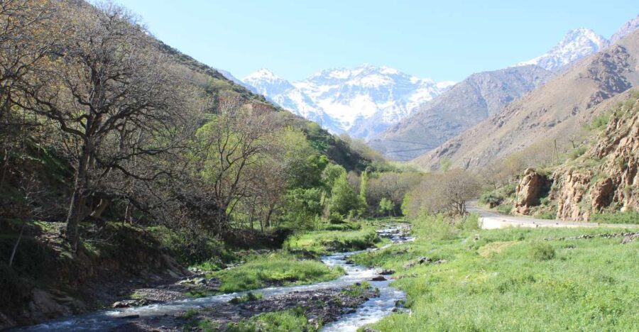 Marrakech: High Atlas Mountains and Agafay Desert Day Tour - Why This Tour Offers Great Value