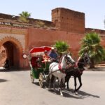 Marrakech: Horse-Drawn Carriage Tour - Practical Details and Comfort