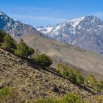 Marrakech: Imlil Valley Day Trip in the Atlas Mountains - What’s Included and What to Keep in Mind