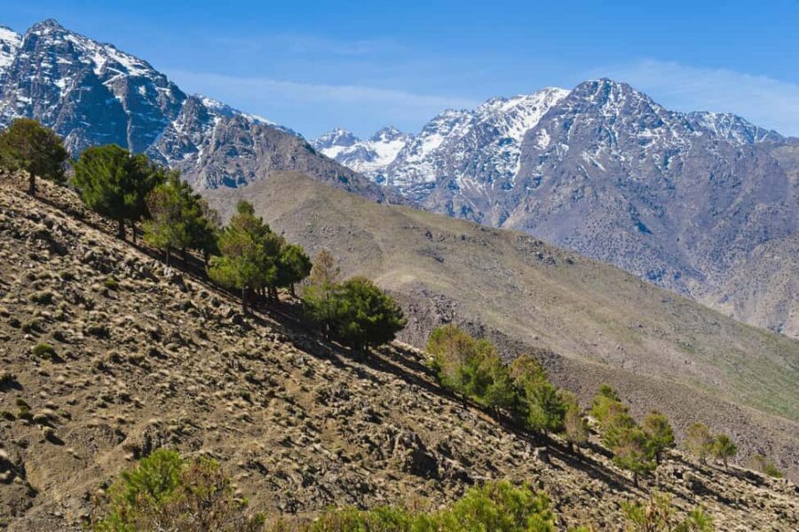 Marrakech: Imlil Valley Day Trip in the Atlas Mountains - What’s Included and What to Keep in Mind