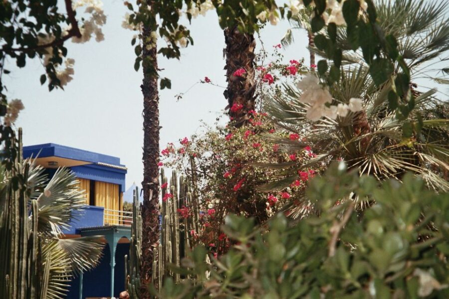Marrakech: Majorelle Garden Entry Tickets Online - Exploring the Majorelle Garden: What You Can Expect