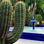 Marrakech: Majorelle Garden, YSL, and Berber Museum Entry - Managing Your Visit