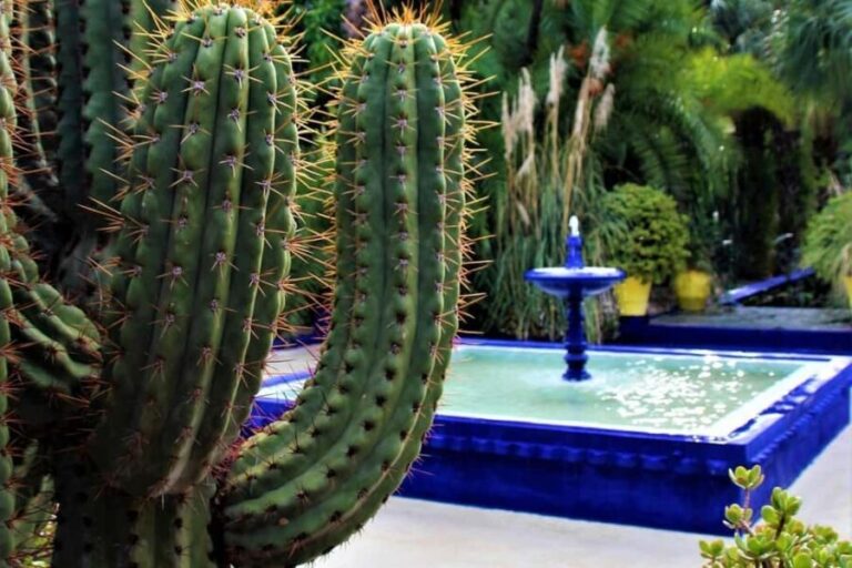 Marrakech: Majorelle Garden, YSL, and Berber Museum Entry - Managing Your Visit