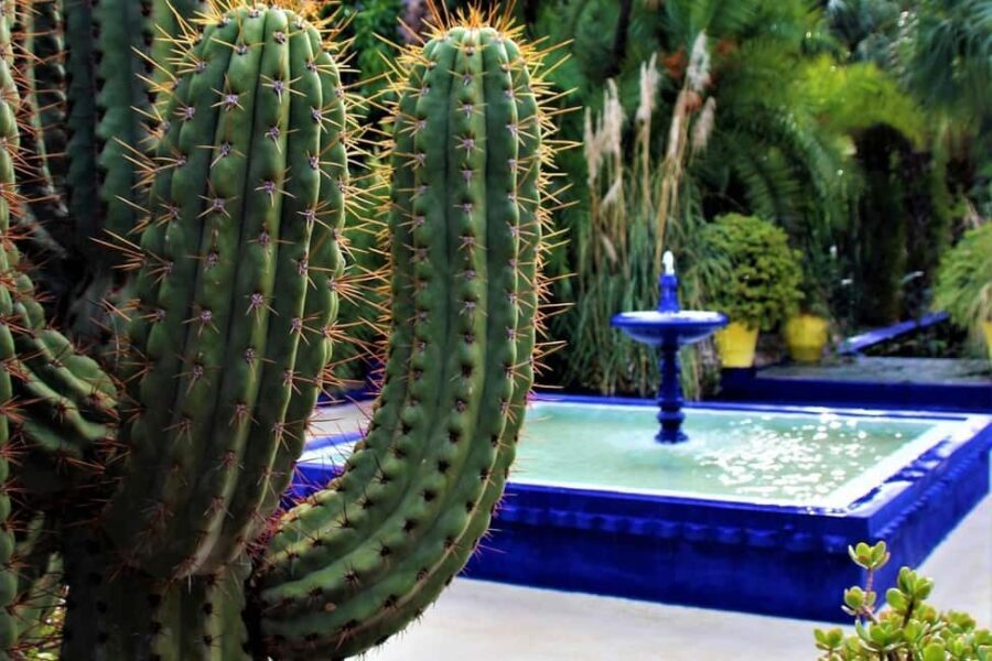 Marrakech: Majorelle Garden, YSL, and Berber Museum Entry - Managing Your Visit