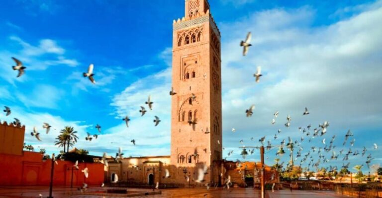 Marrakech: Old and New Marrakech Private Full Day Guide Tour - Logistics and Value