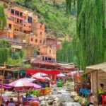 Marrakech: Ourika Valley and Atlas mountains Day trip - The Transportation and Duration