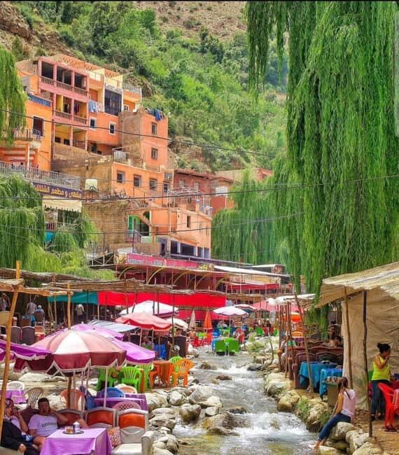 Marrakech: Ourika Valley and Atlas mountains Day trip - The Transportation and Duration