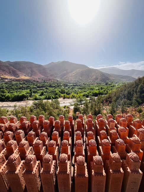 Marrakech: Ourika Valley and Waterfalls Day Trip with Guide - What’s Included & What to Consider