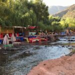 Marrakech: Ourika Valley & Atlas Mountains Half-Day Trip - Transportation & Group Size