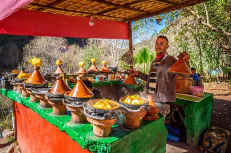 Marrakech: Ourika Valley & Atlas Mountains Tour with Lunch - What Really Makes This Tour Stand Out