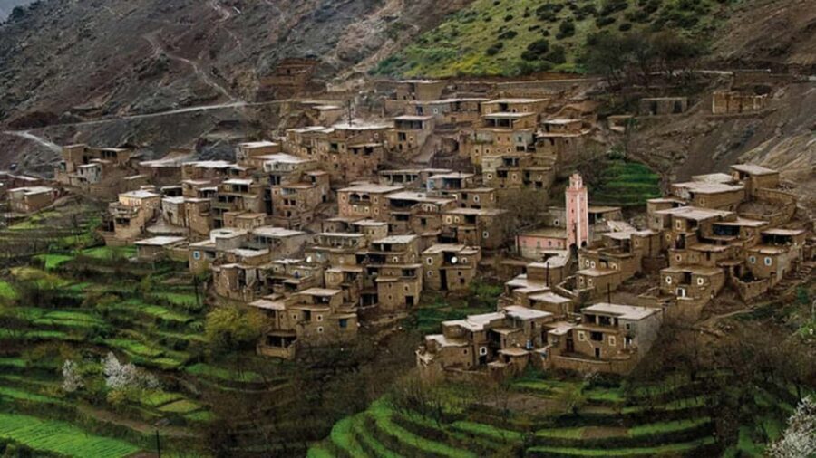 Marrakech: Ourika Valley Day Trip with Waterfalls & Lunch - Insights from Travelers’ Reviews