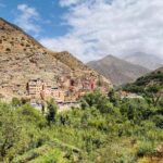 Marrakech: Ourika Valley Waterfall & lunch and Guided hike - The Walk to the Waterfalls