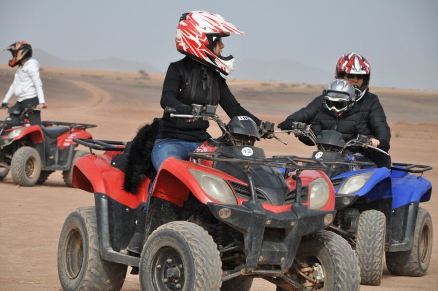 Marrakech: pack quad and camel ride in the palm grove - What Makes This Tour Stand Out?