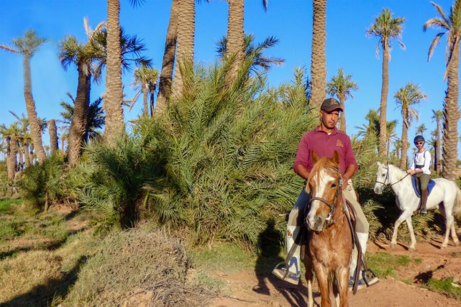 Marrakech: Palm Grove Horseback Riding Tour - What to Expect and What Not to Expect