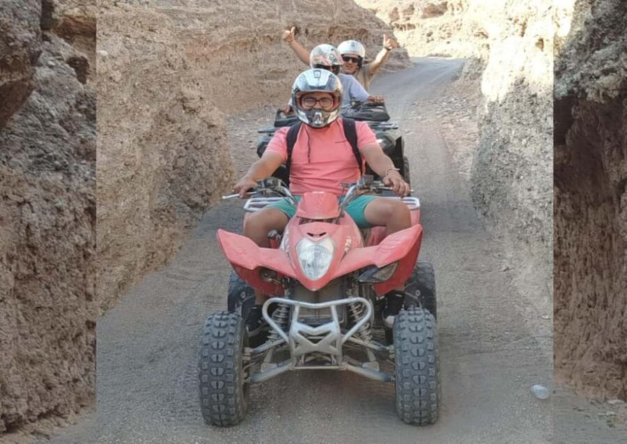 Marrakech: Palm Oasis Quad Bike Tour with Tea - The Practical Details
