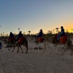Marrakech Palmeraie Camel Ride Adventure - What to Expect from the Marrakech Palmeraie Camel Ride Adventure
