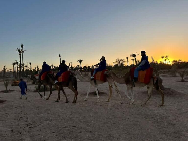 Marrakech Palmeraie Camel Ride Adventure - What to Expect from the Marrakech Palmeraie Camel Ride Adventure