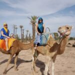 Marrakech Palmeraie: Camel Ride at Sunset - The Itinerary Breakdown