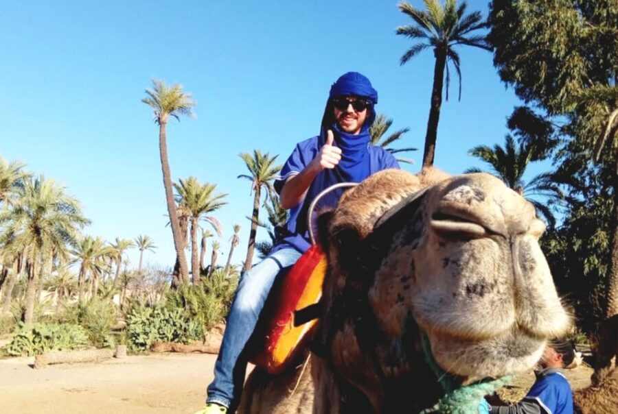 Marrakech Palmeraie: Camel Ride & Quad Bike Experience - The Experience Value: Is $80 Worth It?