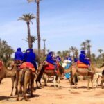 Marrakech Palmeraie Camel Ride with Tea Break - Why This Tour Offers Great Value