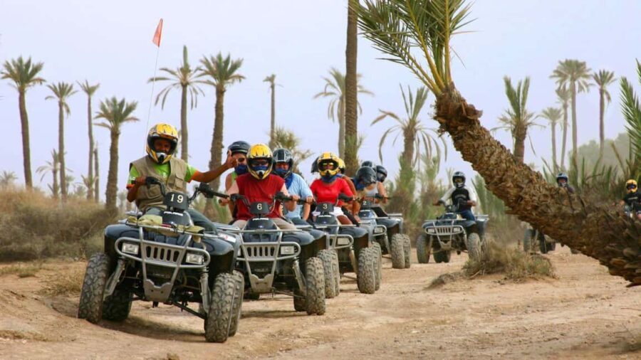 Marrakech: Palmeraie Quad Biking & Camel Ride with Pick-Up - Authentic Moroccan Hospitality and Local Flavors