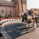 Marrakech: private Guided tour Of Vibrant Souks - The Experience: What’s Really Like