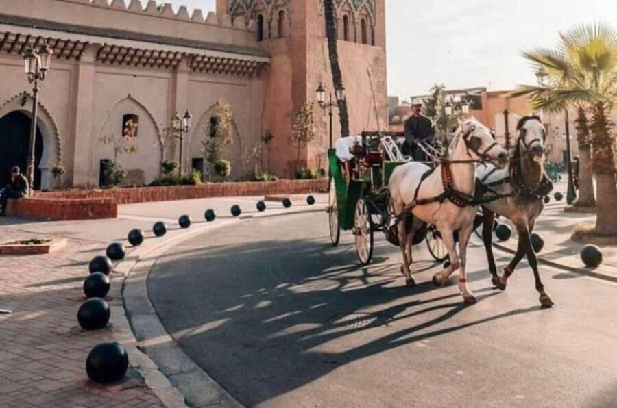 Marrakech: private Guided tour Of Vibrant Souks - The Experience: What’s Really Like