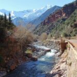 Marrakech: Private High Atlas Mountains Day-Trip - What Makes This Tour Stand Out