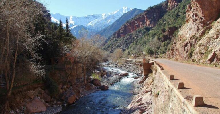 Marrakech: Private High Atlas Mountains Day-Trip - What Makes This Tour Stand Out
