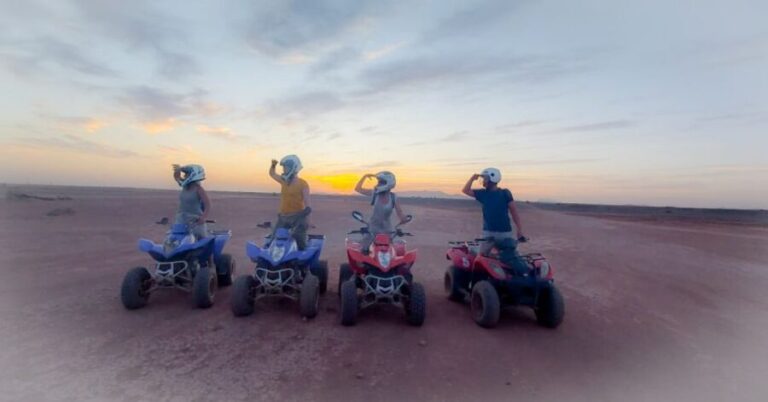 Marrakech: Private Palm Grove Camel and Quad Bike Ride - The Cultural Touch: Tea in a Berber Home