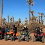 Marrakech: Quad excursion at the palm grove dunes with tea - The Value of This Quad Tour
