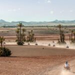 Marrakech: Quad in Jbilets Desert Tour w/ Palm Grove & Pool - Value for Money: Is It Worth It?