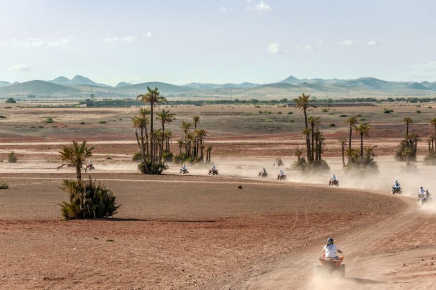 Marrakech: Quad in Jbilets Desert Tour w/ Palm Grove & Pool - Value for Money: Is It Worth It?