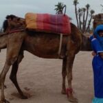 Marrakech: Sunset Camel Ride in the Palmeraie - The Value of the Experience