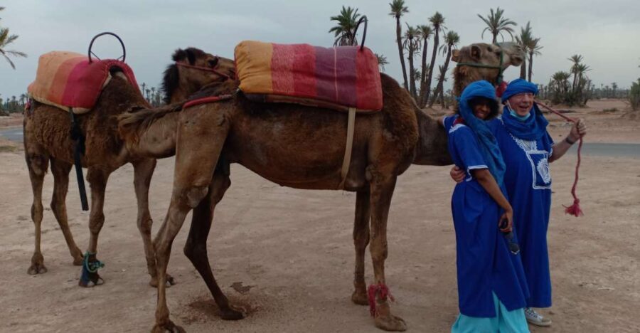 Marrakech: Sunset Camel Ride in the Palmeraie - The Value of the Experience