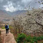 Marrakech: Tedli Summit Atlas Mountains Day Hike & Lunch - Why This Tour Offers Great Value for Money