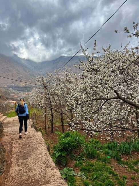 Marrakech: Tedli Summit Atlas Mountains Day Hike & Lunch - Why This Tour Offers Great Value for Money
