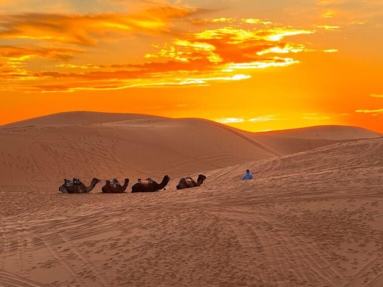 Marrakech to Fes: 3-Day Sahara Desert Tour & Camel Ride - What Makes This Tour Stand Out