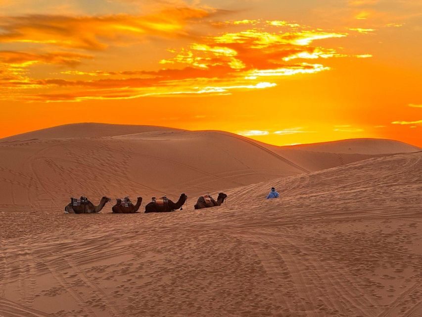 Marrakech to Fes: 3-Day Sahara Desert Tour & Camel Ride - What Makes This Tour Stand Out