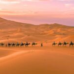Marrakech to Fes: Quad, Dinner, Camel, 3-Day Desert Tour - Value for Money and Included Features