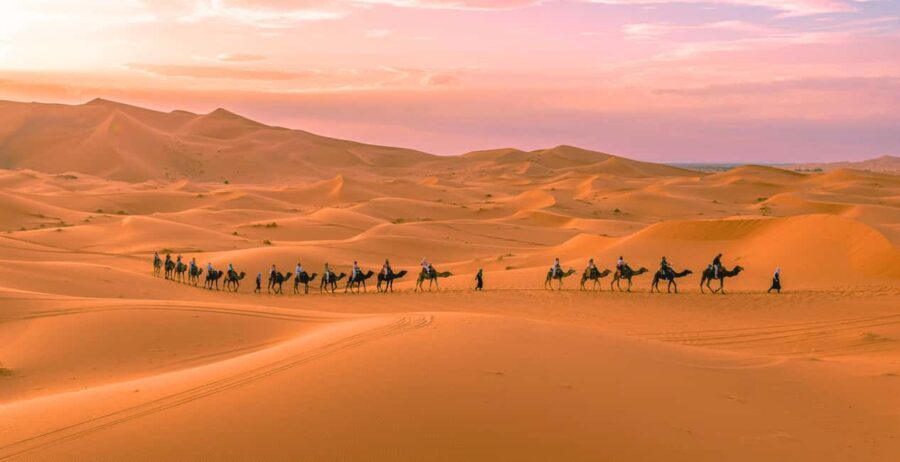 Marrakech to Fes: Quad, Dinner, Camel, 3-Day Desert Tour - Value for Money and Included Features