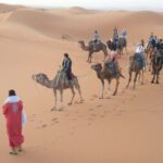 Marrakech to Fez via Merzouga Desert 3-Days Sahara Tour - Transport and Comfort