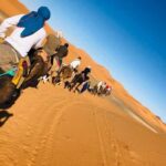Marrakech To Merzouga : 3-Day Dreams Tours & Luxury Camp - Practical Details and What to Expect