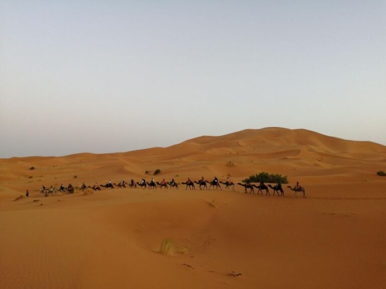 Marrakech to Merzouga Desert: A Private 2-Day Tour - The Desert Arrival: A Dune Wonderland